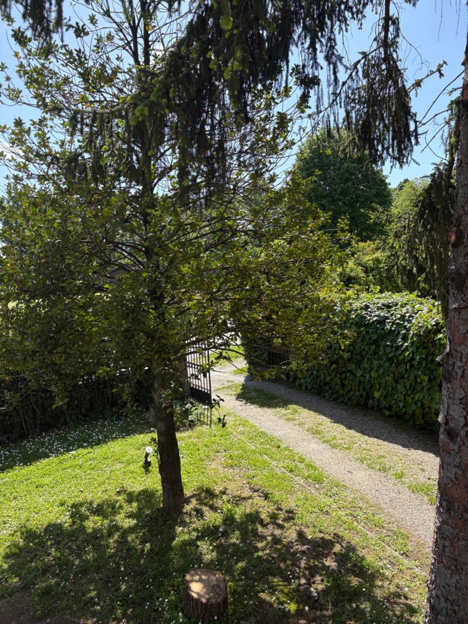 Villa Agnese B&B 卢卡 外观 照片